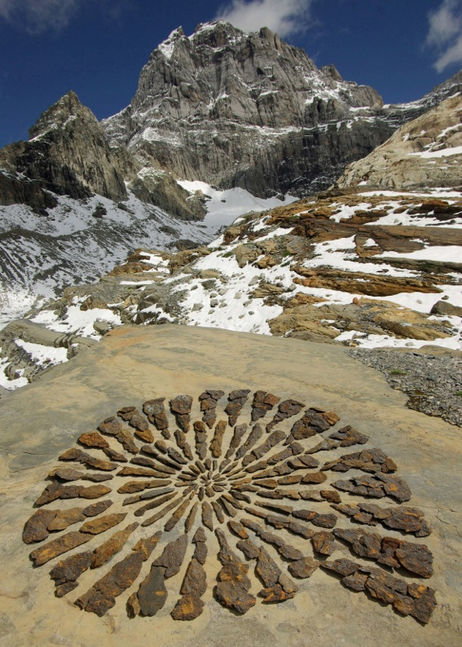 x_fossil_windgaellen.jpg x_fossil_windgaellen.jpg